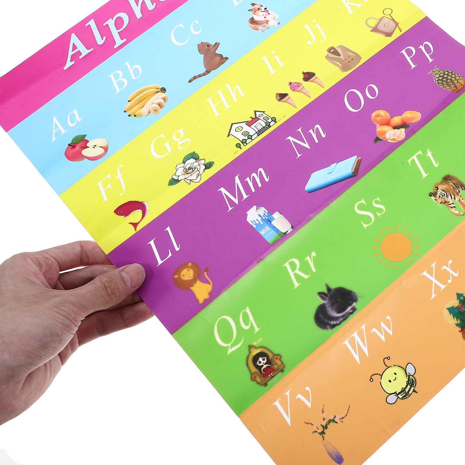Early Education Poster 30x40cm - Kids Educational Poster ulasan dan harga