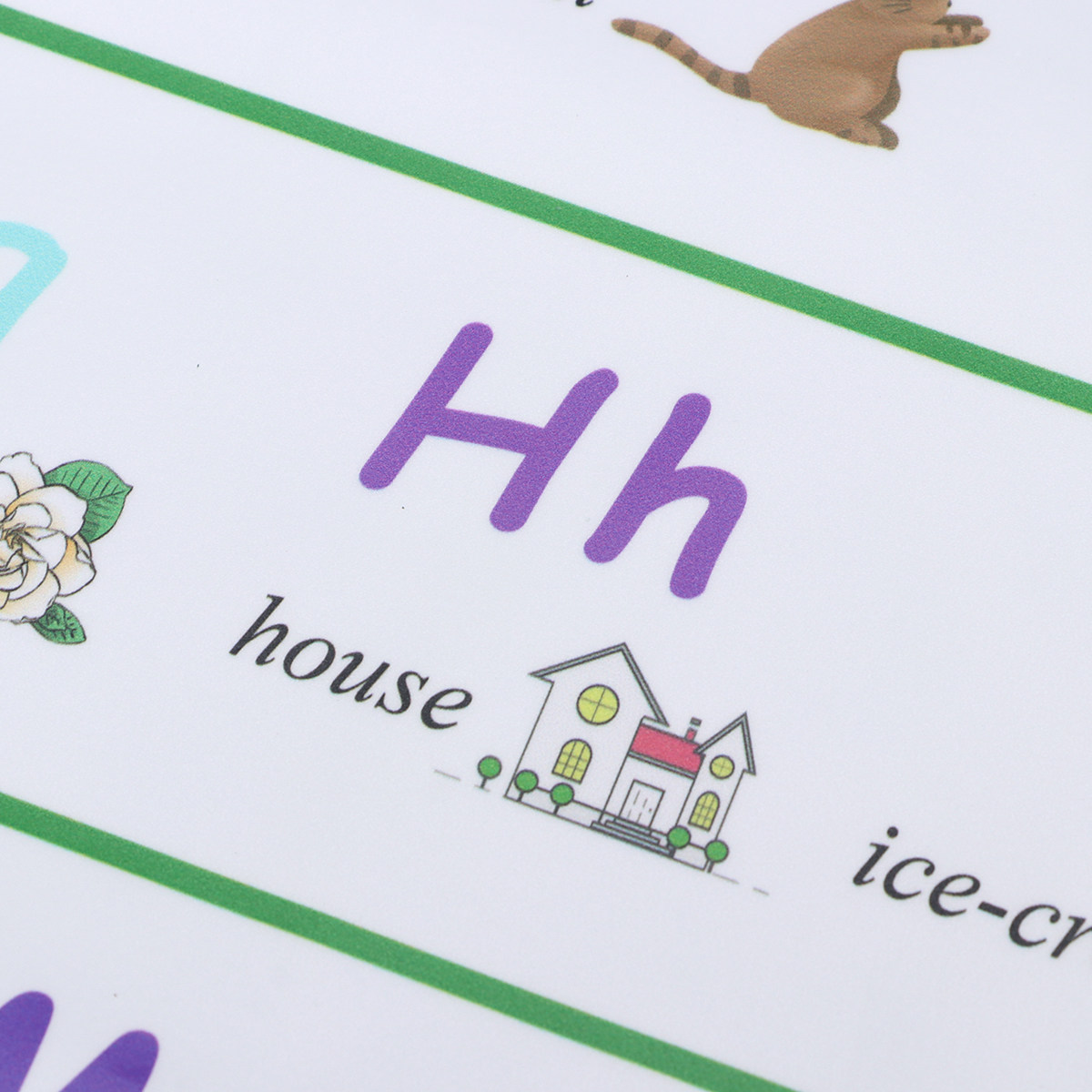 Early Education Self-Adhesive  - Kids Educational Poster ulasan dan harga